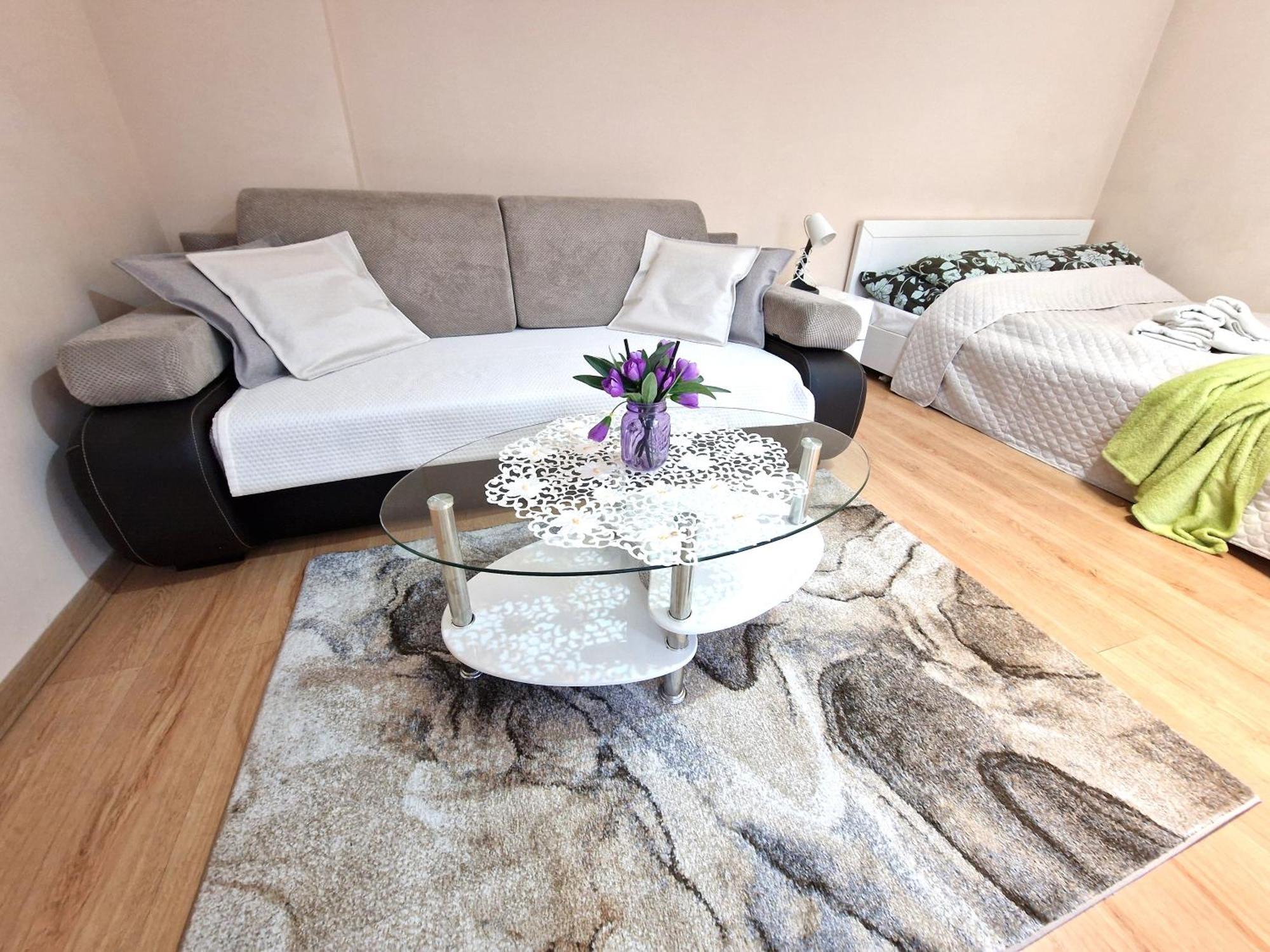 Aparthouse Apartamenty Centrum Sosnowiec Buitenkant foto