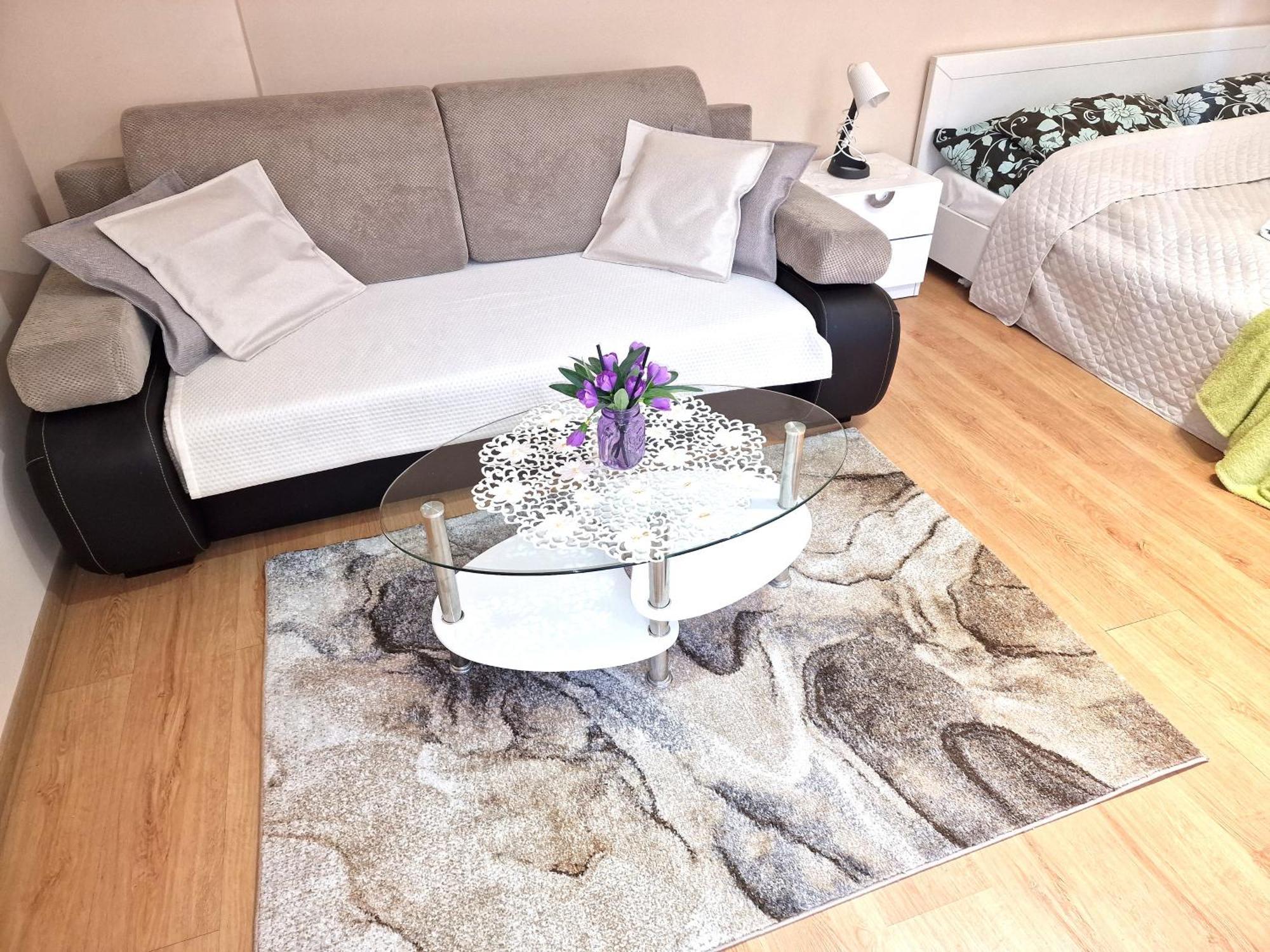 Aparthouse Apartamenty Centrum Sosnowiec Buitenkant foto