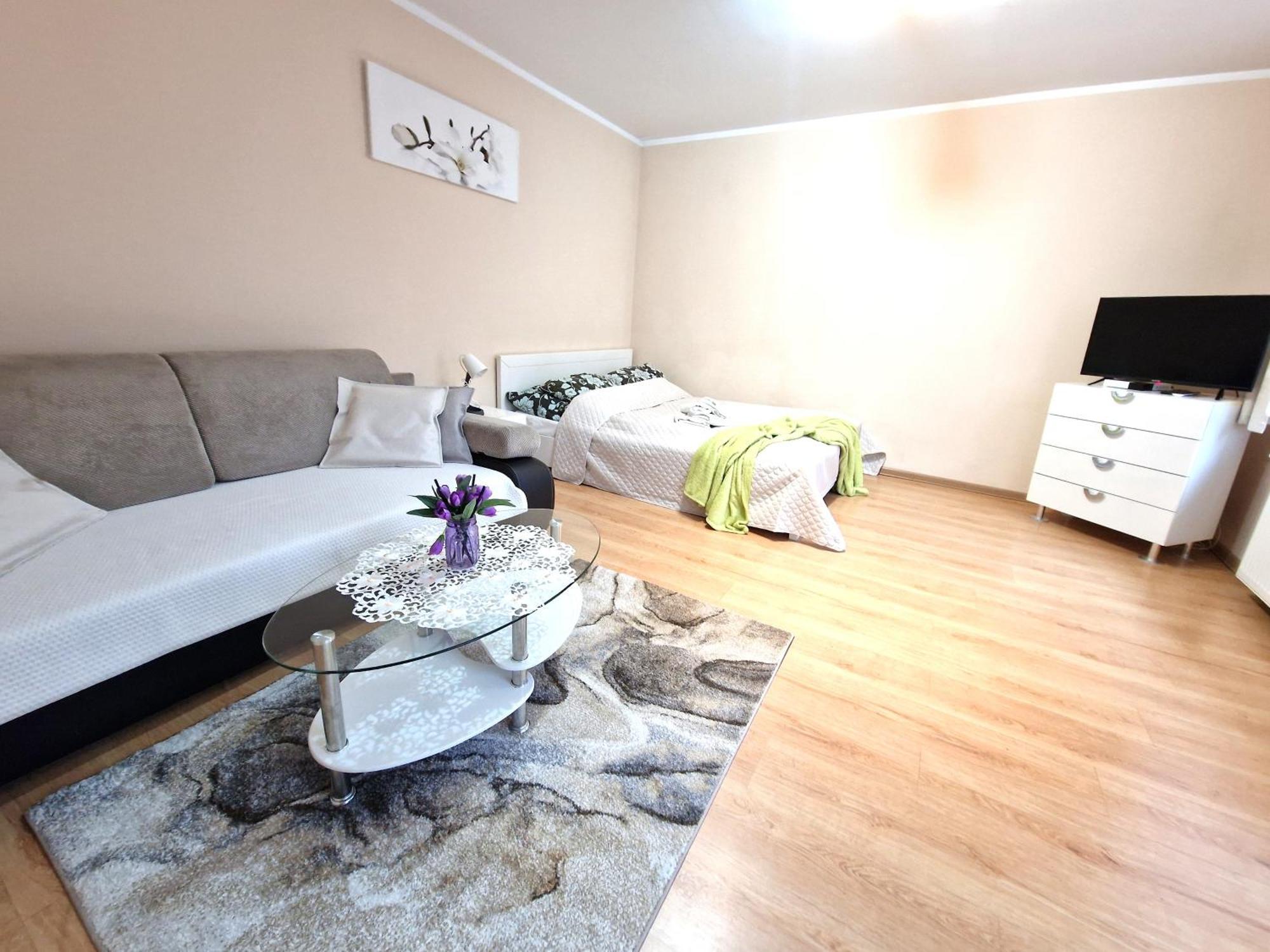 Aparthouse Apartamenty Centrum Sosnowiec Buitenkant foto