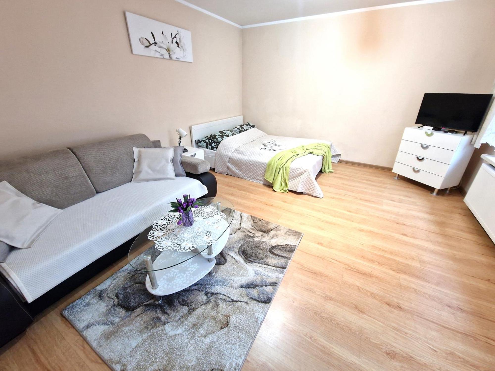 Aparthouse Apartamenty Centrum Sosnowiec Buitenkant foto