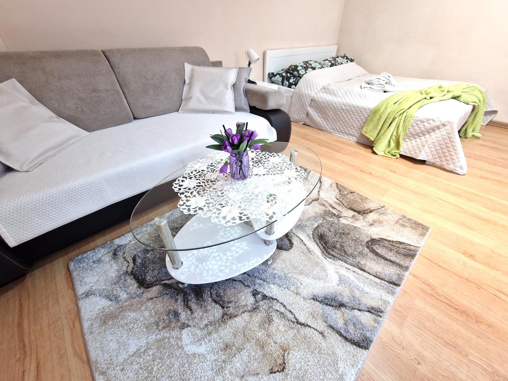Aparthouse Apartamenty Centrum Sosnowiec Buitenkant foto