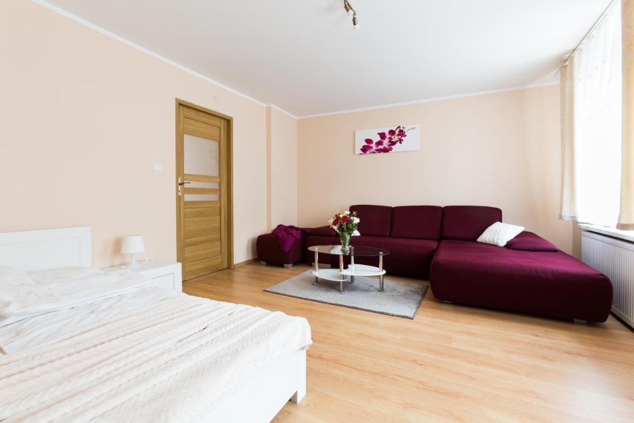 Aparthouse Apartamenty Centrum Sosnowiec Buitenkant foto
